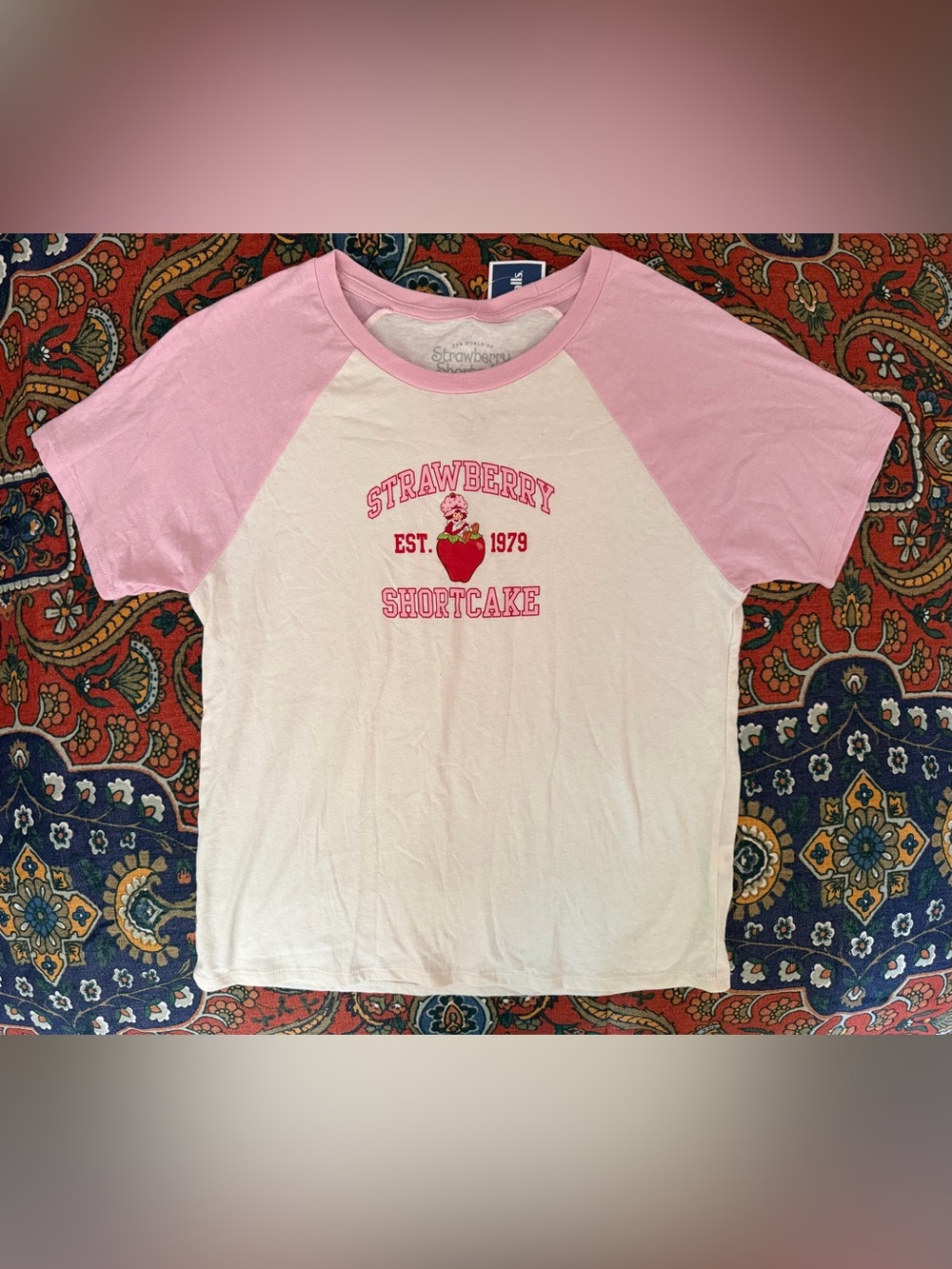 Retro strawberry shortcake Raglan T-shirt